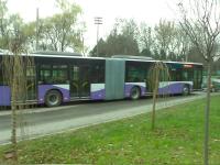 Imagine atasata: Autobuz1.jpg